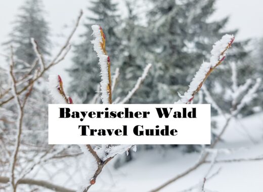 Bayerischer Wald – Impressionen vom Schneeschuhwandern & Schlemmen | Travel Guide auf www.wallygusto.de
