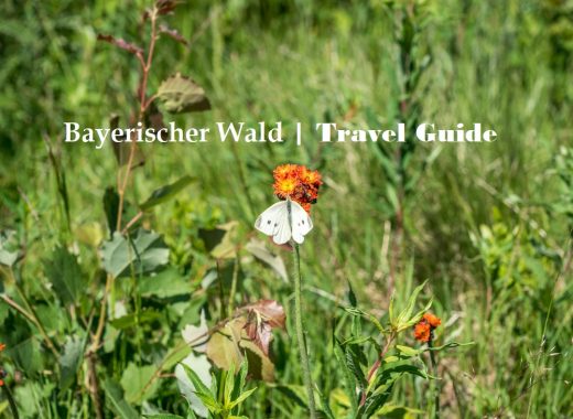 Bayerischer Wald | Travel & Food Guide auf www.wallygusto.de