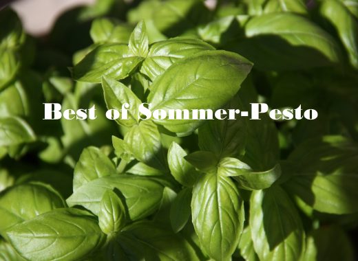 Best of Sommer-Pesto | Unser persönliche TOP 5