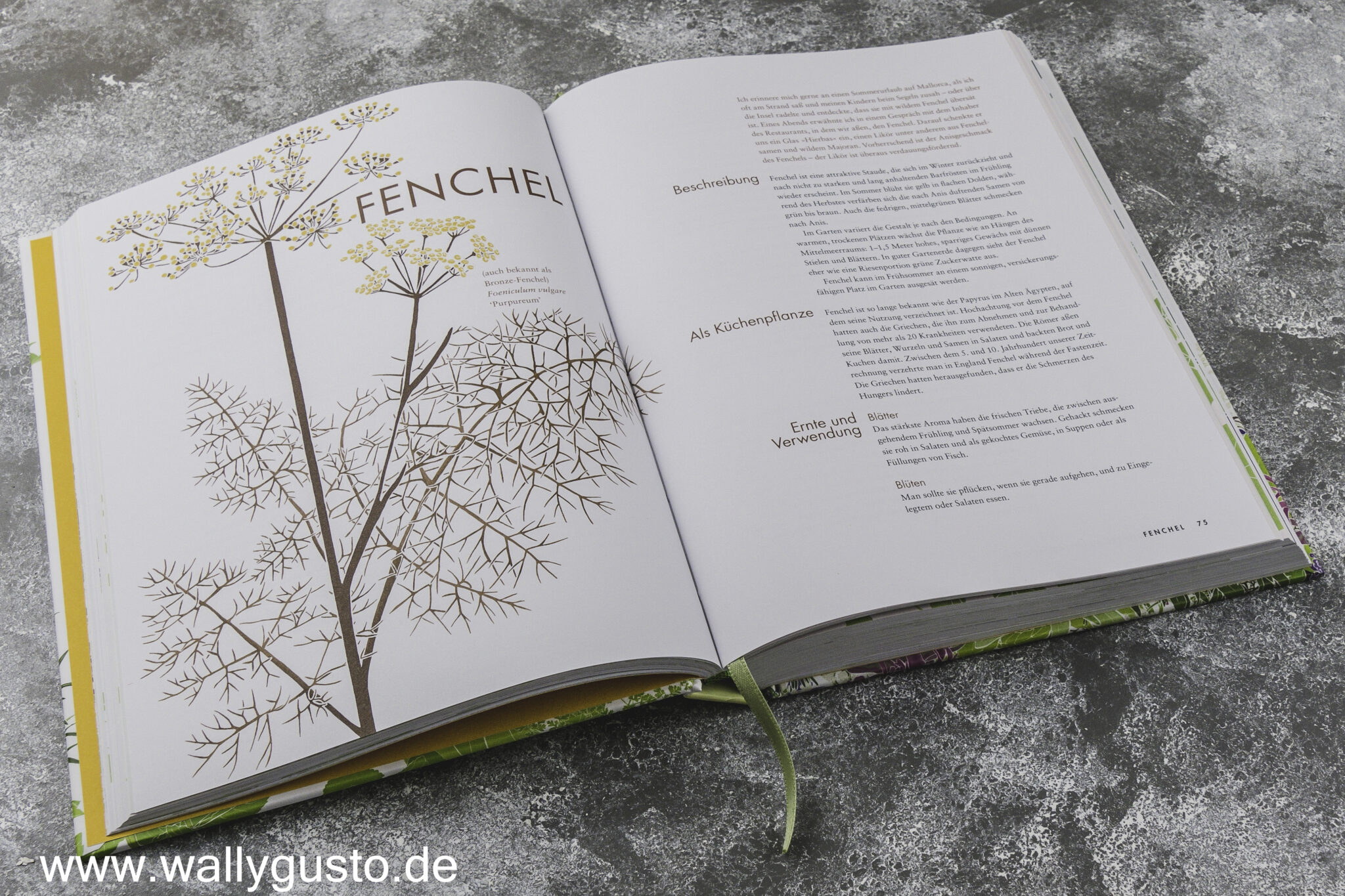 Überbackener Fenchel | Buchvorstellung – Wallygusto