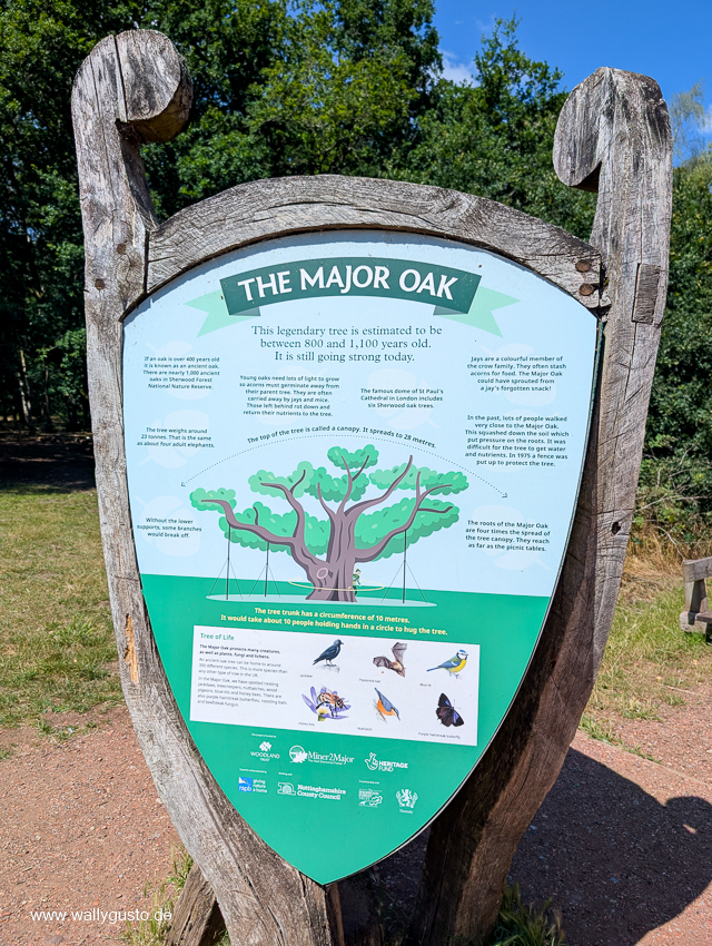 Midlands - Travel Guide für Nottingham & Sherwood auf www.wallygust.de