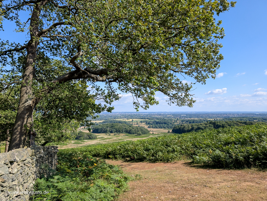 Midlands - Travel Guide für Nottingham & Sherwood auf www.wallygust.de