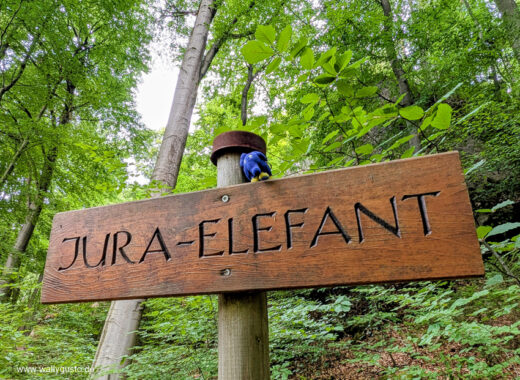 Fränkische Schweiz – Tipps für ein langes bierseliges Wochenende | Travel Guide auf www.wallygusto.de