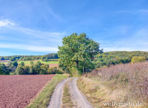 Wandern rund um Hammelburg #wallygustosunterwegs