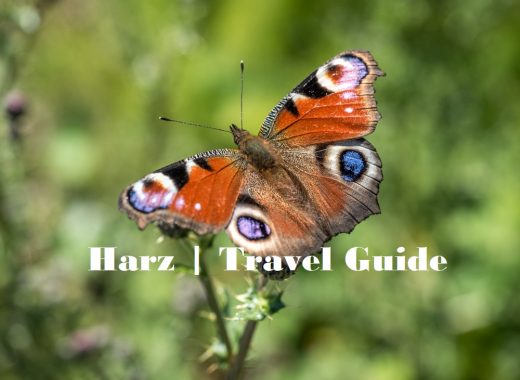 HARZ Travel Guide | Von Burgen, Schächten & kleinen und großen Brocken