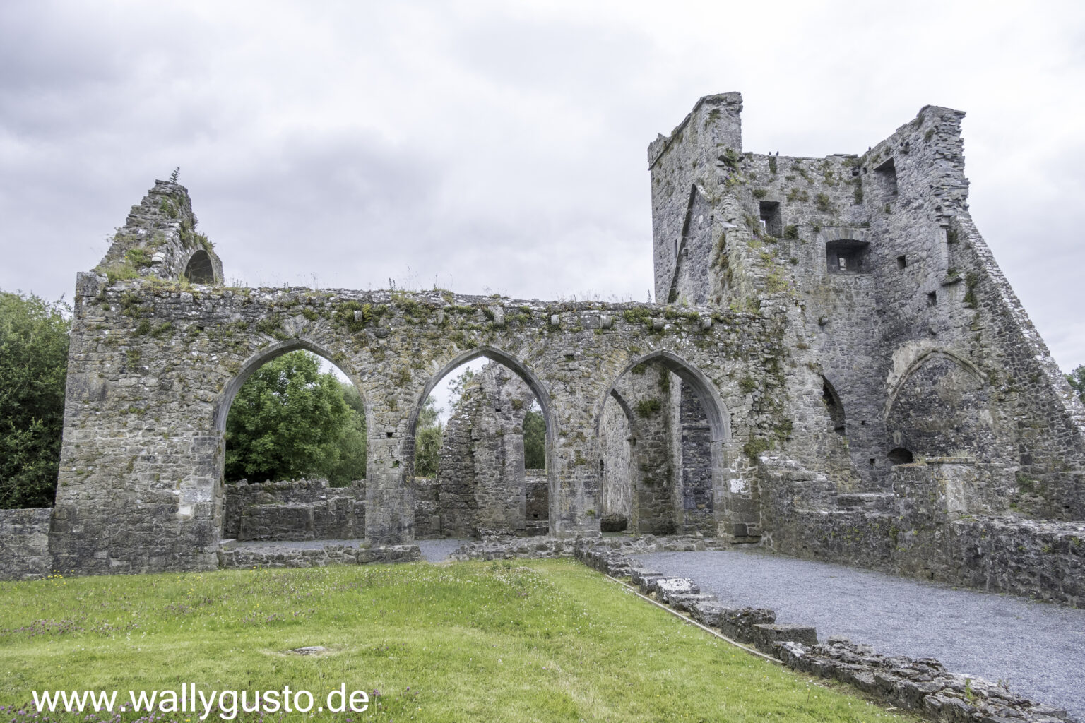 Kilkenny und der Südosten Roadtrip durch Südirland (6) Wallygusto