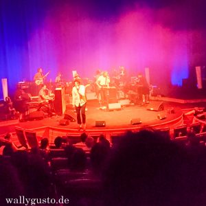 Edward Sharpe And The Magnetic Zeros