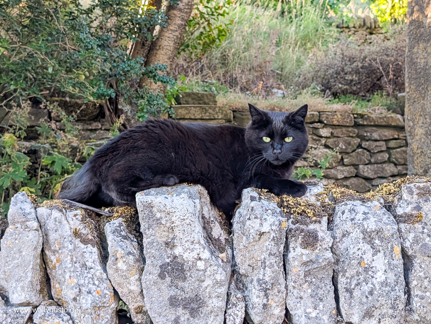 Peak District – Travel Guide auf www.wallygust.de