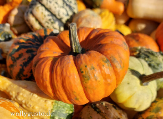 Pumpkin Spice | Kürbisgewürz - Rezept auf www.wallygusto.de