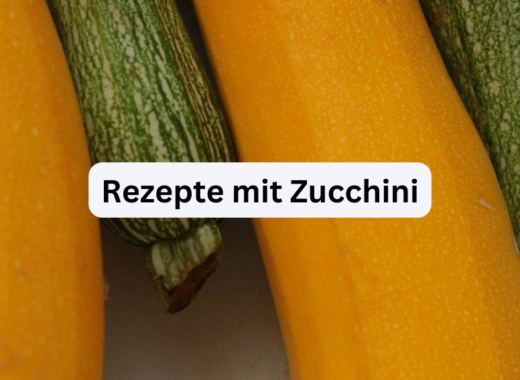 Zucchinischwemme – Unsere persönlichen TOP 5 Rezepte mit Zucchini