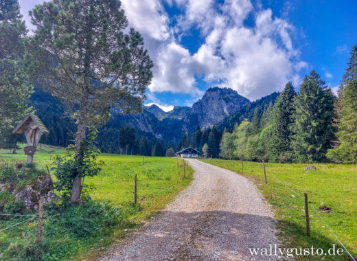 Wanderung auf den Längenberg #wallygustosunterwegs