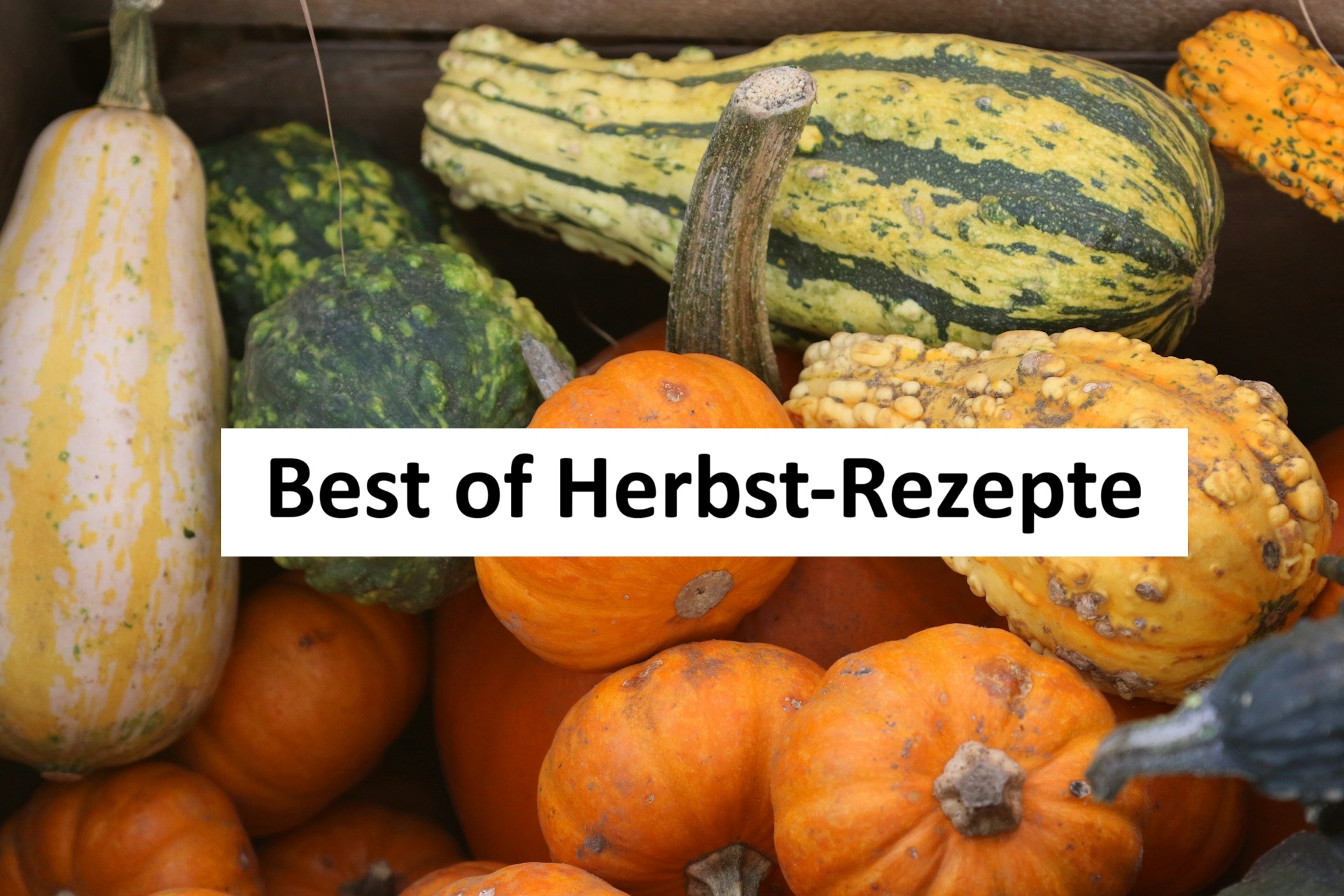 Rezepte für den Herbst | Unsere persönliche TOP 5